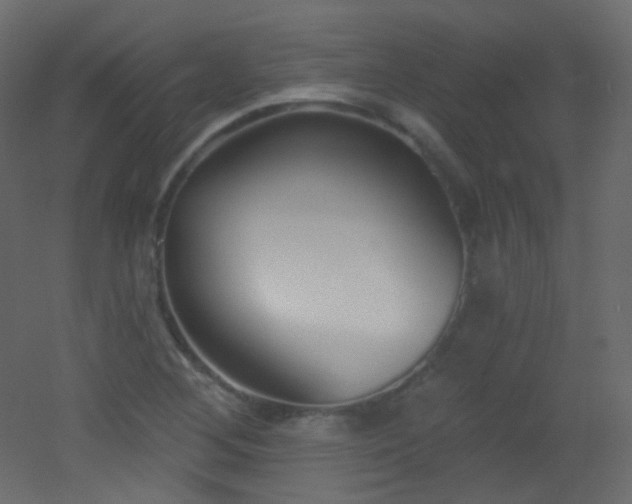 X0000053161268200507111458