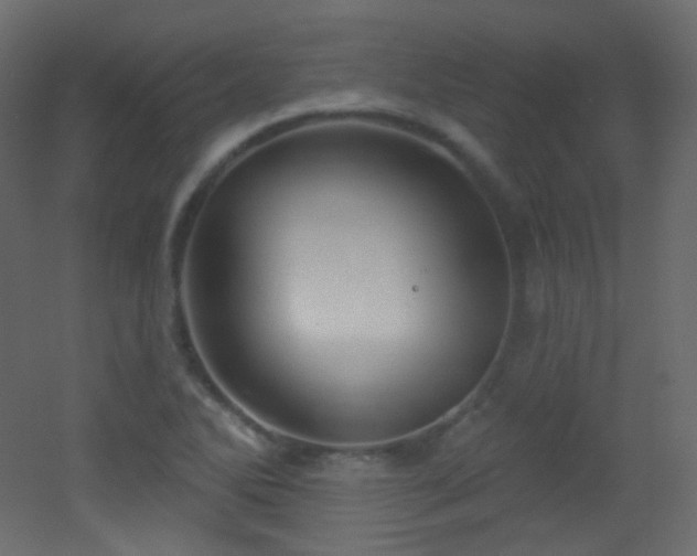 X0000053161270200507111458