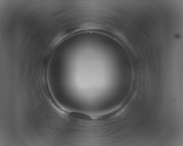 X0000053161273200507111458