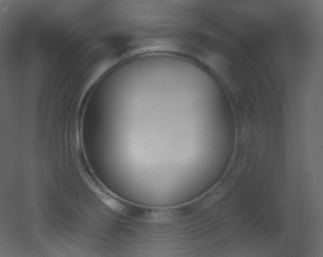 X0000053161274200507111458