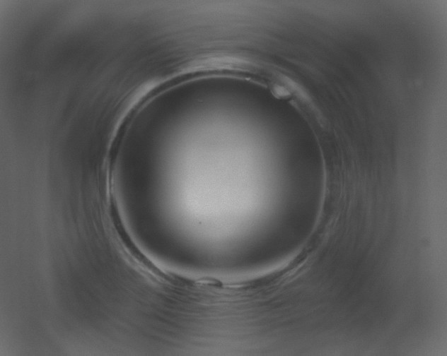 X0000053161275200507111458