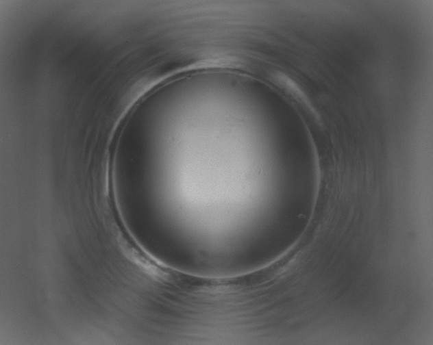 X0000053161276200507111458