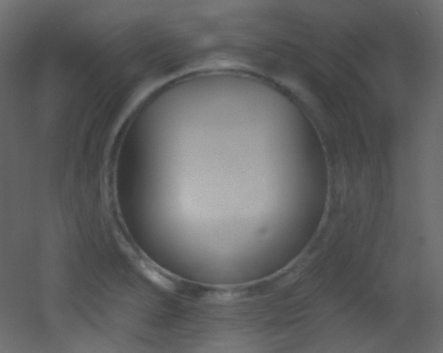 X0000053161278200507111458