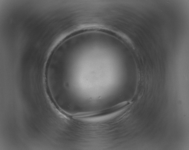X0000053161279200507111458