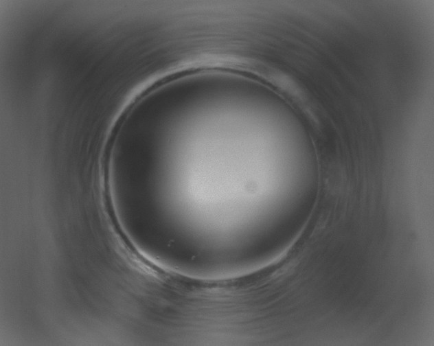 X0000053161280200507111458