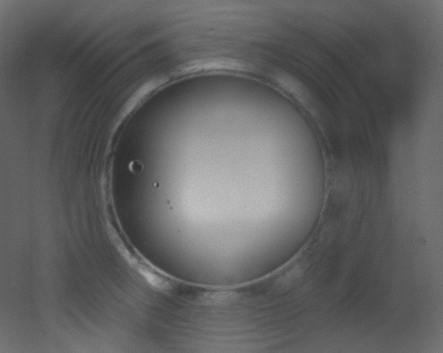 X0000053161282200507111457