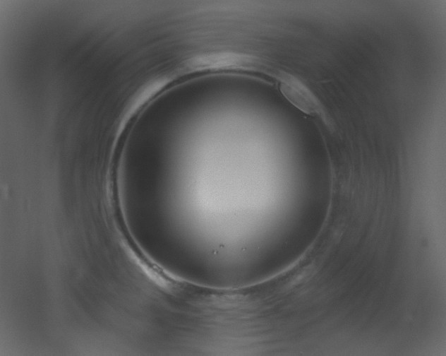 X0000053161285200507111457
