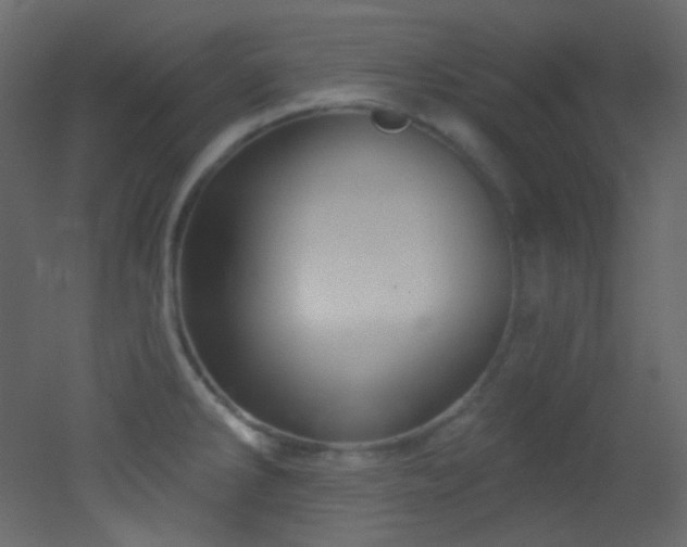 X0000053161286200507111457