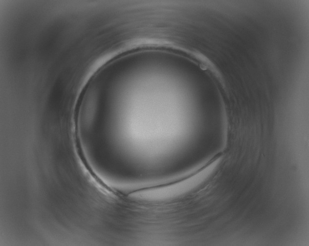X0000053161287200507111457