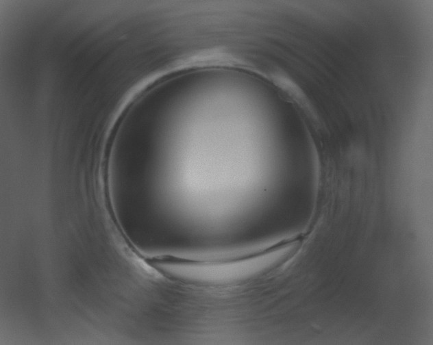 X0000053161288200507111457