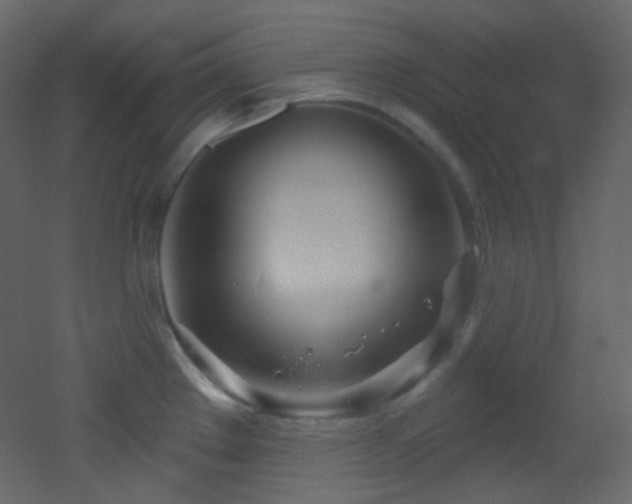 X0000053161289200507111457