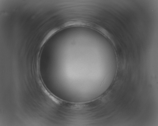X0000053161290200507111457