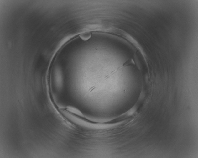 X0000053161291200507111457