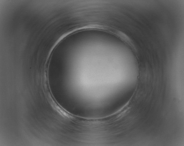 X0000053161292200507111457