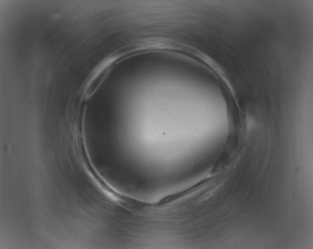 X0000053161293200507111457