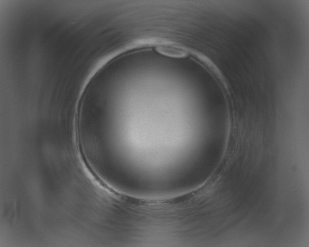 X0000053161295200507111457