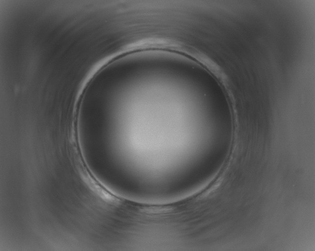 X0000053161296200507111457