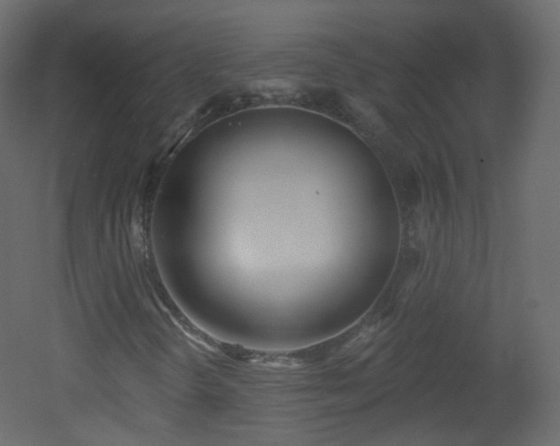 X0000053161298200507111456