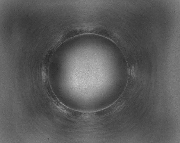 X0000053161299200507111456