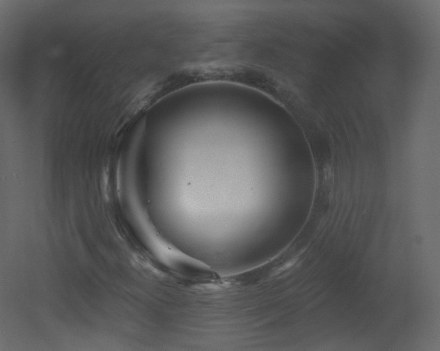 X0000053161300200507111456
