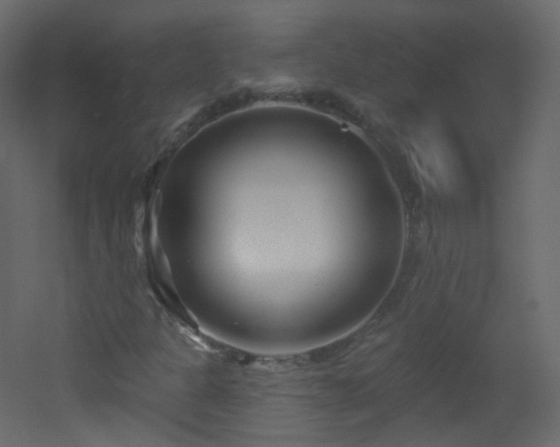 X0000053161301200507111456