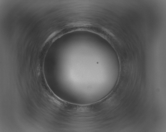 X0000053161306200507111457
