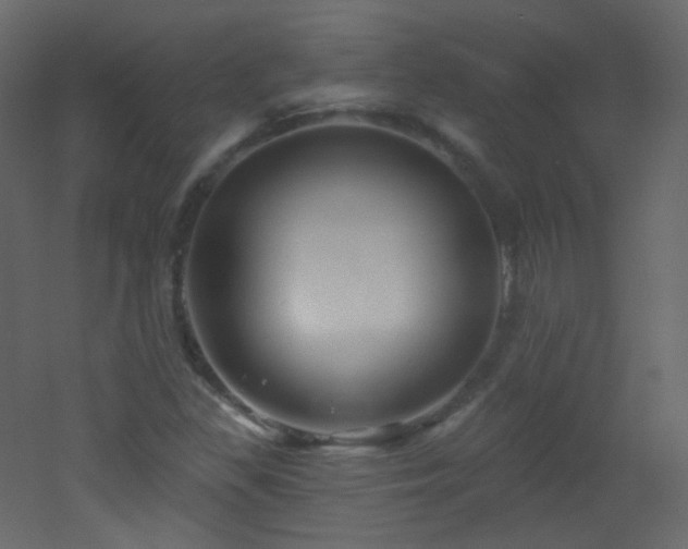 X0000053161309200507111457