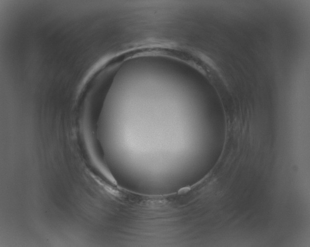 X0000053161310200507111457