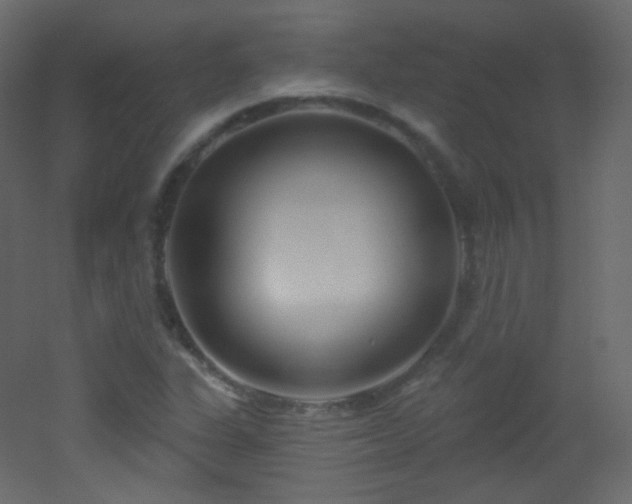 X0000053161311200507111457