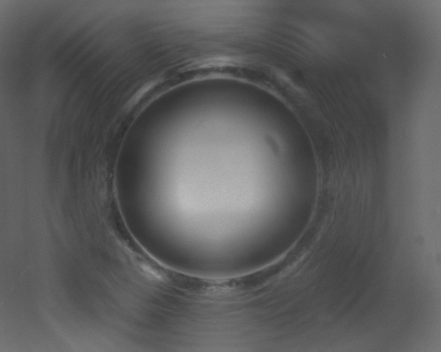 X0000053161313200507111457