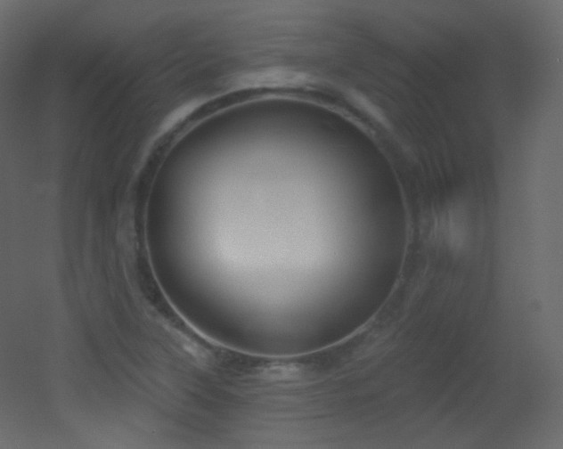 X0000053161315200507111457