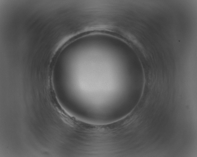 X0000053161316200507111457