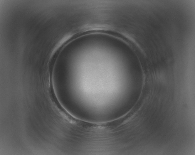 X0000053161317200507111457