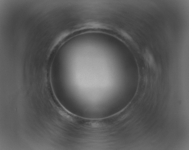 X0000053161318200507111457