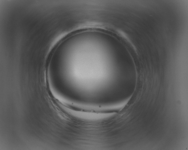 X0000053161320200507111457