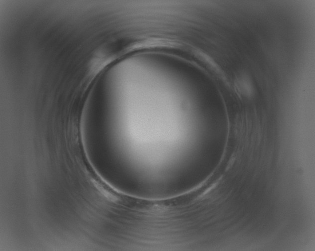 X0000053161321200507111457