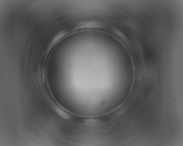 X0000053161322200507111457