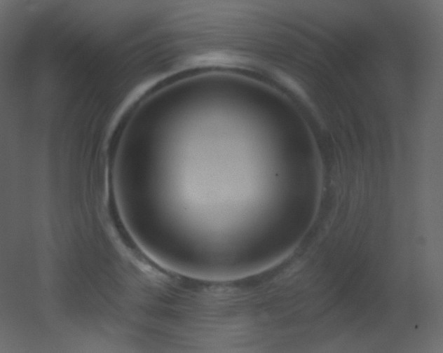 X0000053161323200507111457