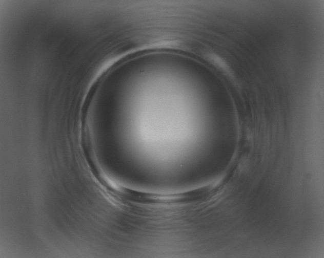X0000053161324200507111457