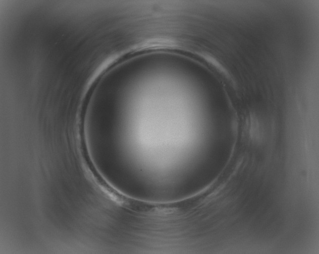 X0000053161325200507111457