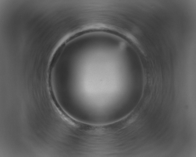 X0000053161326200507111457