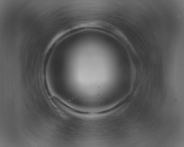 X0000053161328200507111457