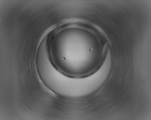 X0000053161330200507111457