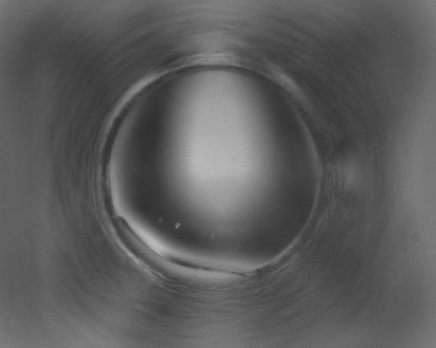 X0000053161331200507111457