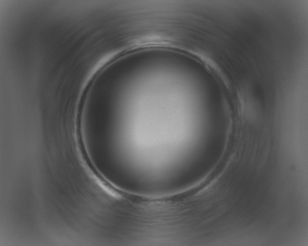 X0000053161333200507111457