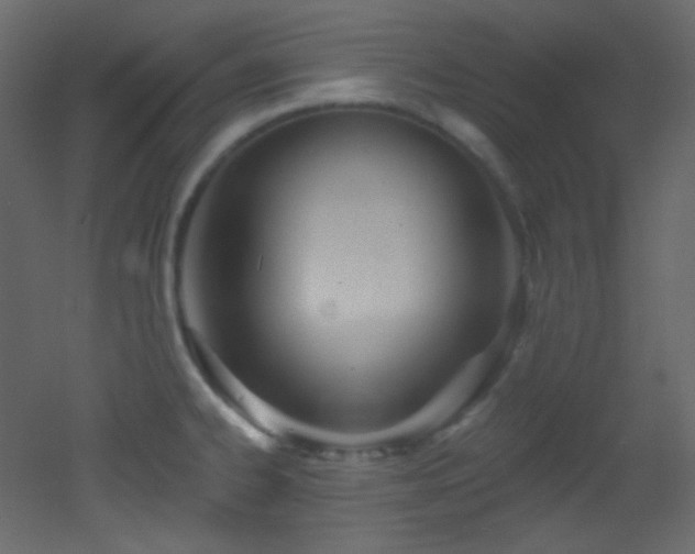 X0000053161334200507111457