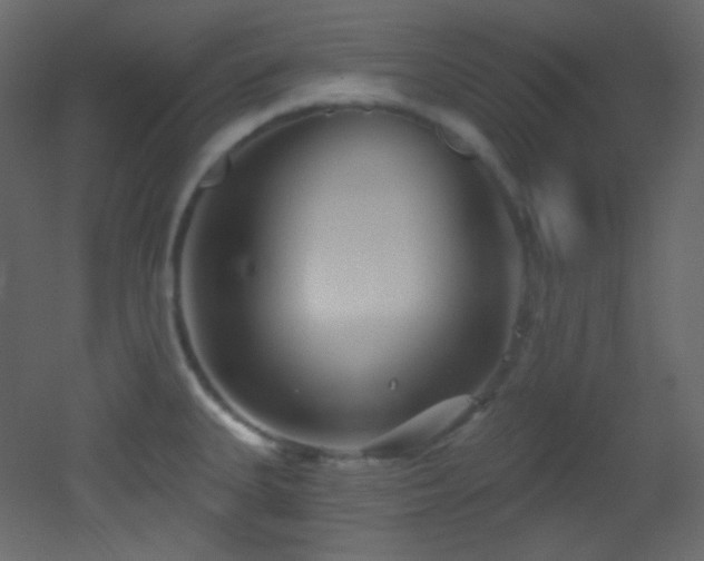 X0000053161335200507111457