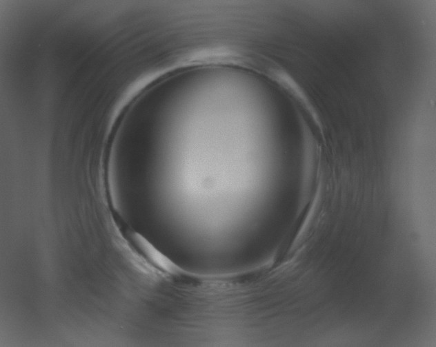 X0000053161336200507111457