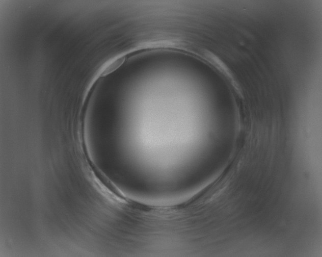 X0000053161340200507111457