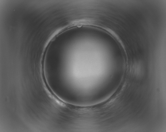 X0000053161341200507111457